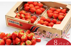 さぬき姫いちご　8パック(1パック約250g)
