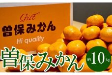 最高峰！三豊市の「曽保みかん」約10kg