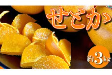 柑橘界の大トロ！三豊市の「せとか」　約3kg