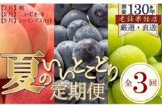 [№5911-0343]【全3回】夏のいいとこどり定期便（7・8・9月発送）