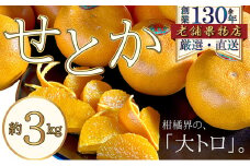 [№5911-0352]柑橘界の大トロ♪せとか　約3kg