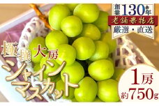 [№5911-0361]極撰！大房シャインマスカット　1房(約750g)