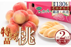 [№5911-0362]特秀品！綾川町の桃　約2kg(6～8玉)