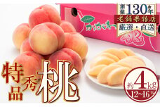[№5911-0363]特秀品！綾川町の桃　約4kg(12～16玉)