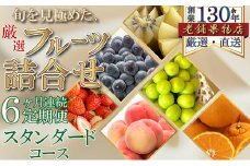 [№5911-0367]【6ヶ月連続定期便】旬を見極めた、厳選フルーツ詰合せ-スタンダードセット- フルーツ 果物 定期便 頒布会 詰合せ 旬 厳選