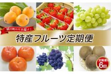 [№5911-0373]特産 フルーツ 定期便（年6回） いちご びわ ピオーネ シャインマスカット 柿 キウイ ぶどう 香川 6 季節 旬