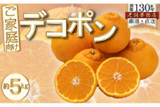 [№5911-0379]ご家庭向け！濃厚甘味のぷりっぷり「デコポン」　約5kg