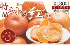[№5911-0412]特秀品！真っ赤なお蜜柑「小原紅早生」　約3kg