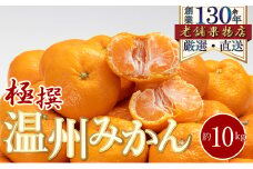 [№5911-0355]極撰！温州みかん　約10kg