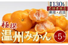 [№5911-0356]極撰！温州みかん　約5kg