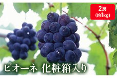 [№5911-0087]大粒で濃厚な甘み「ピオーネ」　2房（化粧箱入り）約１kg 果物 ぶどう フルーツ 