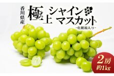 [№5911-0091]綾川町産　極上シャインマスカット　2房（化粧箱入り）約1kg 果物 ぶどう フルーツ 葡萄 種なし 