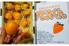 [№5911-0098]太秋かきのタマゴ「チビ太くん」