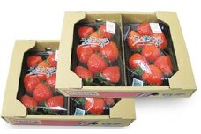 [№5911-0101]【年内発送】 さぬきひめ苺 1kg