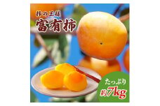 [№5911-0103]柿の王様 富有柿 たっぷり7kg