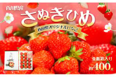 [№5911-0108]【1月から順次発送】さぬきひめ苺（化粧箱入り）