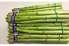 [№5911-0114]香川県オリジナルアスパラガス「さぬきのめざめ」春芽　約1kg 野菜 