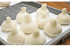 [№5911-0116]生にんにく　2.5kg