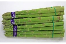 [№5911-0117]香川県オリジナルアスパラガス「さぬきのめざめ」夏芽　約700g 野菜