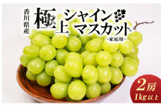 [№5911-0119]【お得用】シャインマスカット　2房入り 1kg以上　讃岐産 果物 ぶどう フルーツ 葡萄 種なし 