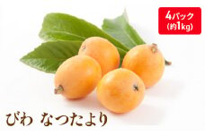 [№5911-0202]なつたより（びわ）4パック入り(約１Kg) 果物類 フルーツ 枇杷 ビワ 