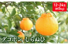 [№5911-0208]しらぬひ　約5kg