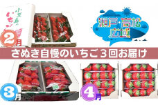 [№5911-0209]「瀬戸・たかまつネットワーク」いちご食べ比べ3ヵ月定期便