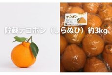 [№5911-0236]貯蔵デコポン（しらぬひ）約3kg