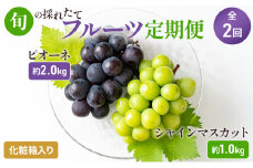 [№5911-0237]【2024年先行予約】旬の採れたてフルーツ定期便（2回便）
