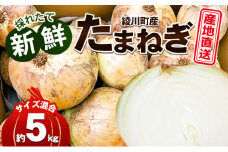 [№5911-0249]新鮮採れたて綾川町産 たまねぎサイズ混合約5kg※2024年5月上旬から順次発送