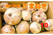[№5911-0250]新鮮採れたて綾川町産 たまねぎサイズ混合約10kg※2024年5月上旬より順次発送