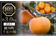 [№5911-0273]全国でも有名な「綾川町産千疋の柿」訳ありサイズ混合 約3.0kg