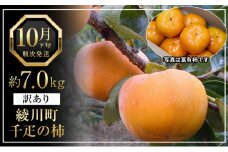 [№5911-0274]全国でも有名な「綾川町産千疋の柿」訳ありサイズ混合 約7.0kg
