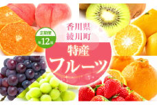 [№5911-0301]特産　フルーツ　定期便（年12回）