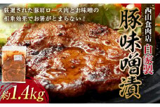 自家製豚の味噌漬け (約1.4kg) 味噌漬け 国産 豚 豚肉 豚ロース 特産品 おかず おつまみ お弁当 ご当地 グルメ 食品 四国 F5J-314