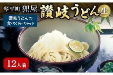 讃岐うどんの食べくらべセット12人前 本場 さぬきうどん 生 うどん 麺 生麺 食べ比べ 釜玉うどん ぶっかけうどん 釜揚げ うどんつゆ つゆ かけつゆ めんつゆ 生しょうゆ 醤油 食品 名産品 四国 F5J-195