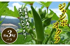 【先行予約2025年7月～2025年9月頃お届け】オクラ (約3kg) 夏野菜 オクラ 名産品 ご当地 野菜 グルメ 食品 おひたし 天ぷら 炒め物 四国 F5J-921
