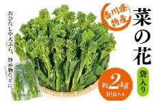 【先行予約2025年12月～2026年3月頃お届け】 菜の花 約2kg (10袋入り) なの花 菜の花 おひたし 天ぷら 炒め物 春 野菜 食品 名産 四国 F5J-925