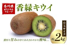 【先行予約2025年12月～2026年3月頃お届け】 香緑キウイ (小玉サイズ) 約2kg フルーツ 果物 くだもの キウイ 香緑 小玉 デザート キウイフルーツ 食品 名産 四国 F5J-670