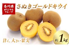 【先行予約2025年10月～2025年12月頃お届け】 さぬきゴールドキウイ (約1kg) フルーツ 果物 くだもの ゴールド キウイ キウイフルーツ さぬき ゴールドキウイ デザート 食品 名産 四国 1万円 F5J-813