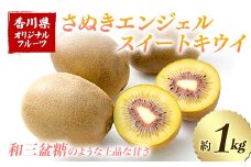 【先行予約2025年11月～2025年12月頃お届け】 さぬきエンジェルスイートキウイ (約1kg) フルーツ 果物 くだもの キウイ さぬき エンジェルスイートキウイ デザート 食品 名産 オリジナル品種 四国 1万円 F5J-668