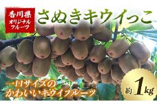 【先行予約2025年11月～2025年12月頃お届け】さぬきキウイっこ (約1kg) フルーツ 果物 くだもの キウイ さぬき キウイっこ 一口サイズ キウイフルーツ デザート 食品 名産 オリジナル品種 希少 四国 1万円 F5J-669