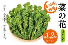 【先行予約2025年12月～2026年3月頃お届け】 菜の花 パック入り 約1.2kg (8パック) なの花 菜の花 おひたし 天ぷら 炒め物 春 野菜 食品 名産 四国 F5J-924