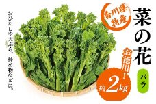 【先行予約2025年12月～2026年3月頃お届け】  菜の花 バラ (約2kg) なの花 菜の花 おひたし 天ぷら 炒め物 春 野菜 食品 名産 四国 F5J-926