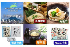 ＜瀬戸内中讃定住自立圏＞うどんの名店食べ比べセット ご当地 半生 純生 うどん 麺 讃岐うどん さぬきうどん 本場 名店 食べ比べ セット 詰合せ めんつゆ つゆ 食品 名産 四国 F5J-778