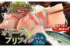 超新鮮・オリーブブリフィレ約2.6～3.0kg 魚がうまいだし醤油付き ぶり 鰤 おかず おつまみ 肴 ご当地 食品 名産 四国 F5J-169