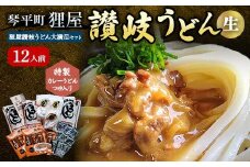 特製カレーうどんつゆ入り 狸屋讃岐うどん大満足セット12人前 4種のつゆ付き 詰合せ 生うどん カレー つゆ うどん 本場 讃岐 讃岐うどん さぬきうどん ご当地 グルメ 名産品 食品 四国 F5J-201
