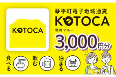 琴平町電子地域通貨KOTOCA 3000円 コトカ 電子マネー 観光 こんぴらさん 金毘羅山 温泉 香川県 ふるさと納税 F5J-470