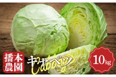 【先行予約2025年11月～2026年6月頃お届け】播本農園のキャベツ 10kg キャベツ 甘い 野菜 サラダ 食品  四国 F5J-900