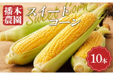 【先行予約2026年6月25日～2026年7月20日頃お届け】播本農園のスイートコーン 10本 とうもろこし トウモロコシ コーン スイートコーン 甘い  野菜  食品  四国 F5J-191
